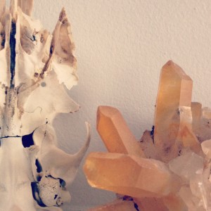 instagram4